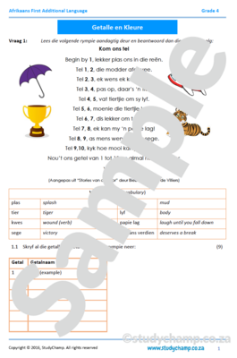 Grade 4 Afrikaans Mid-Year Exam: Language workbook
