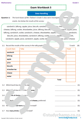 Grade 5 Mathematics Year-End Exam Workbook 5: Data handling