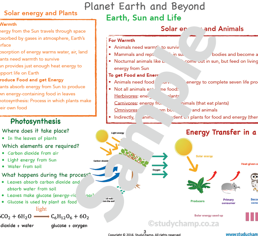 Grade 7 Natural Sciences Summary: Earth, the Sun and Life on Earth