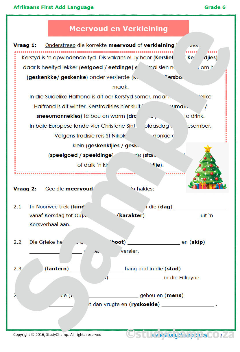 Grade 6 Afrikaans: Meervoud en Verkleining