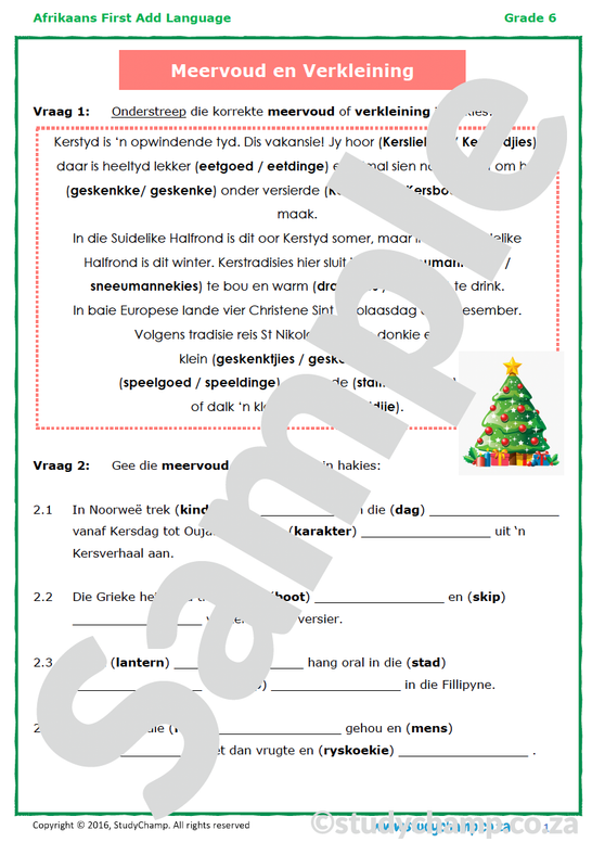 Grade 6 Afrikaans: Meervoud en Verkleining