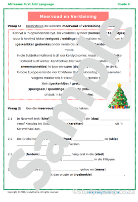 Grade 6 Afrikaans: Meervoud en Verkleining