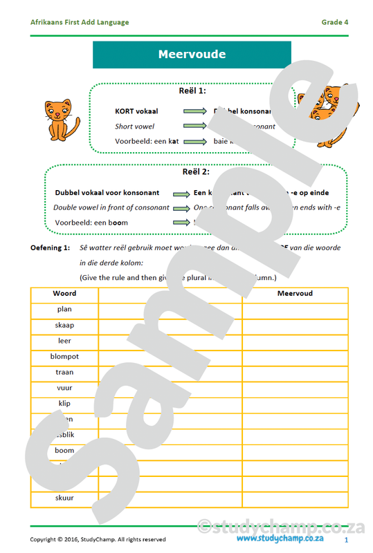 Grade 4 Afrikaans: Meervoud
