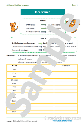Grade 4 Afrikaans: Meervoud
