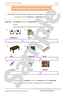 Grade 4 Afrikaans: Selfstandige naamwoorde en Werkwoorde