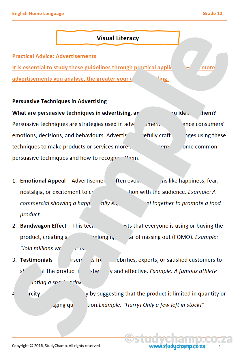 Grade 12 English Comprehension: Visual Literacy