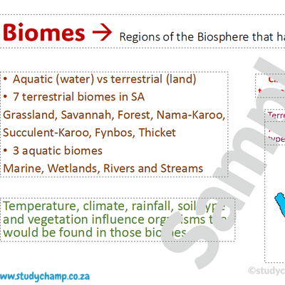 Grade 10 Life Sciences Summaries: Biospheres and ecosystems and Biodiversity and classification