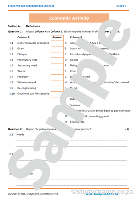 Grade 7 EMS Test: Economic Activity