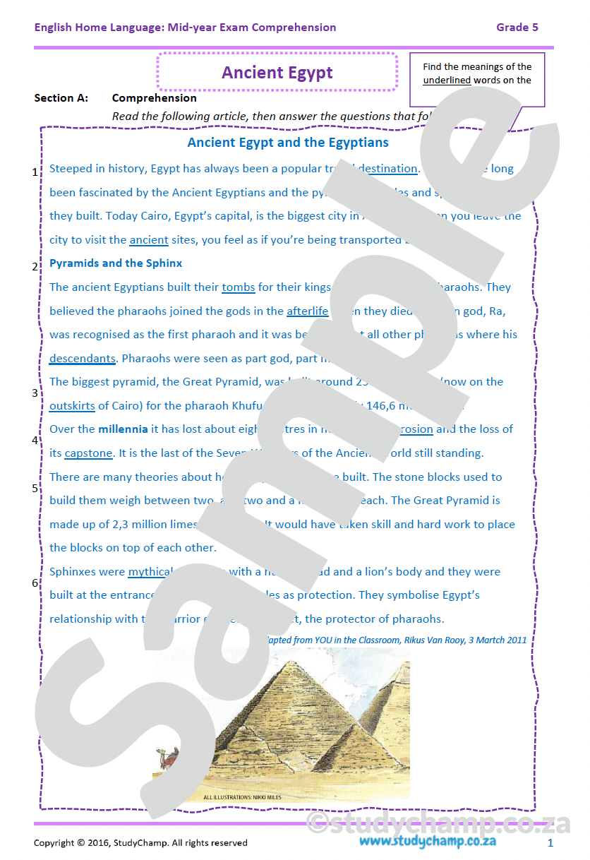 Grade 5 English Mid-year Exam workbook: Comprehension