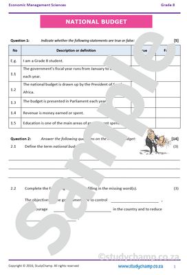 Grade 8 EMS Test: National Budget