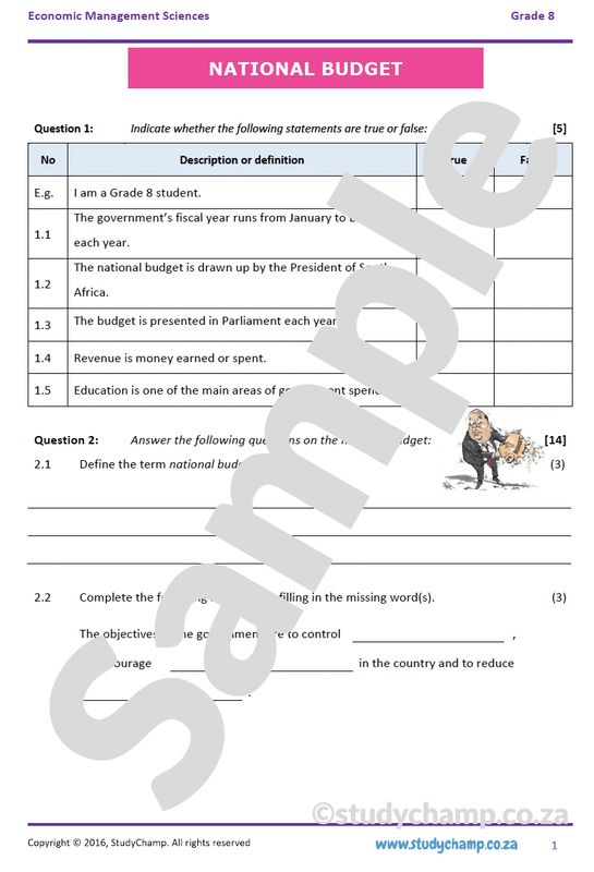 Grade 8 EMS Test: National Budget