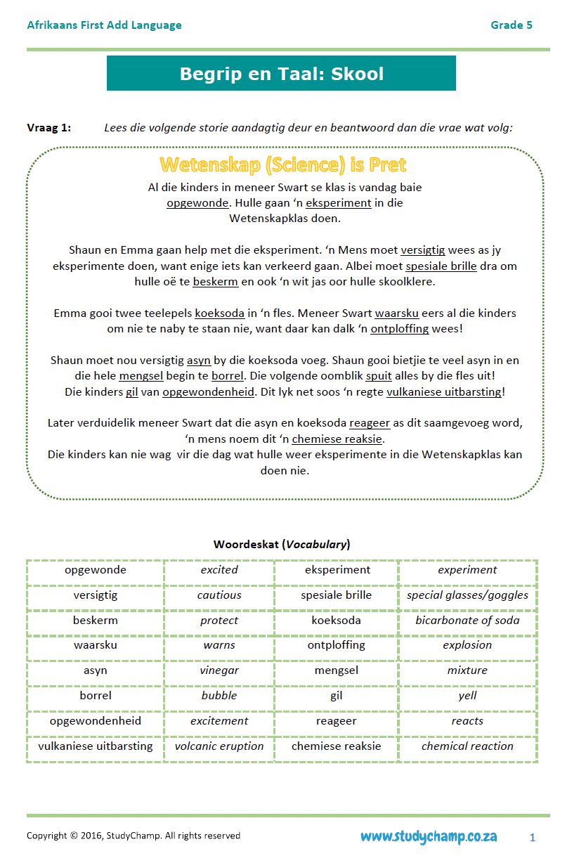 Grade 5 Afrikaans Begrip: Skool