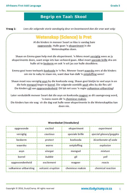 Grade 5 Afrikaans Begrip: Skool