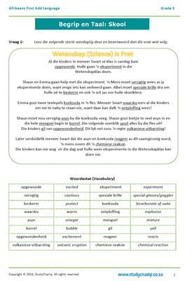Grade 5 Afrikaans Begrip: Skool