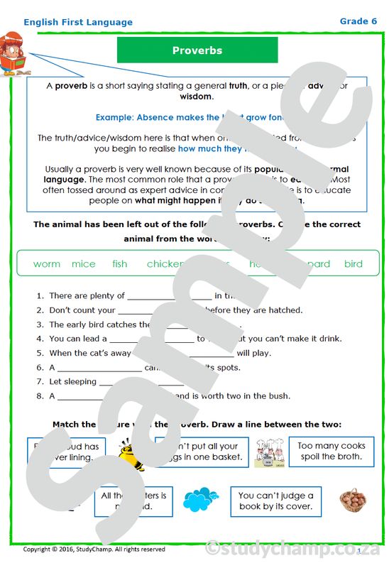 Grade 6 English Worksheet:Proverbs