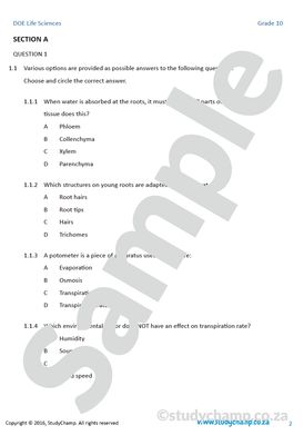 Grade 10  DOE Life Sciences: Support and Transport Systems in Plants