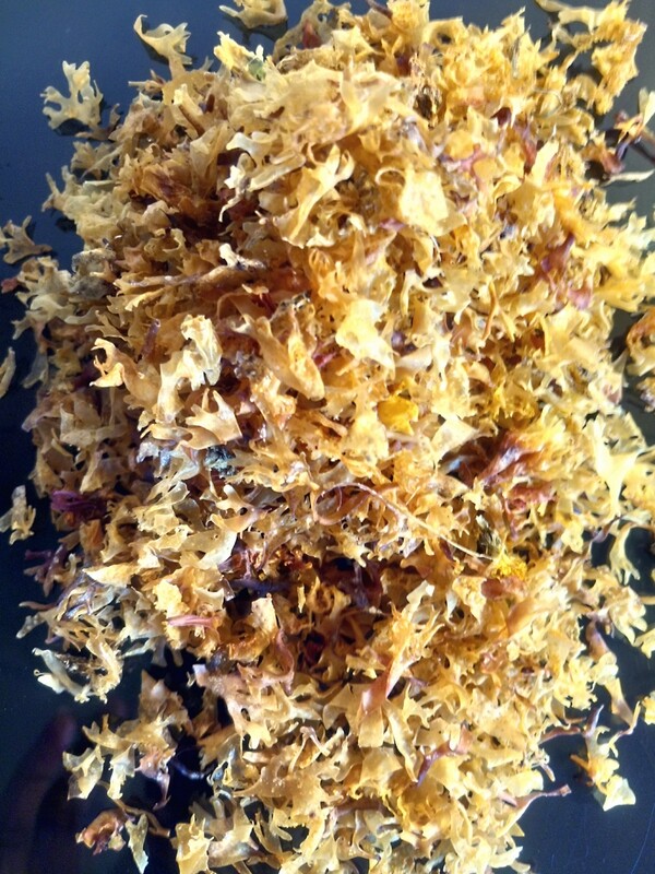 Premium Irish Sea Moss - 'Dried', (Sachet) 4oz / 112g