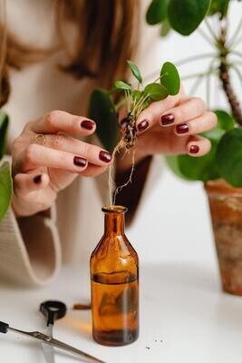 Essential Oils