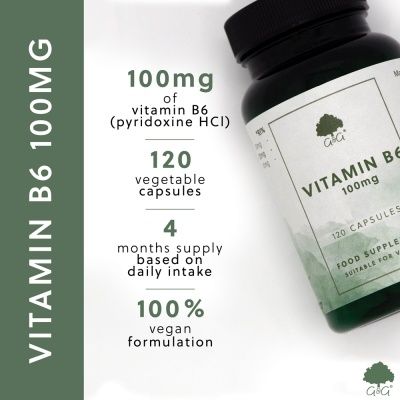 Vitamin B6 100mg