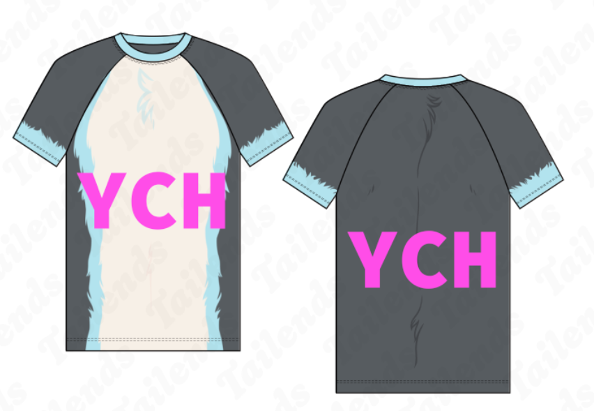 YCH - Raglan (Fit + Sleeve Options)