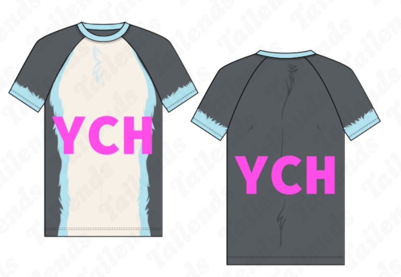 YCH - Short Sleeve Raglan