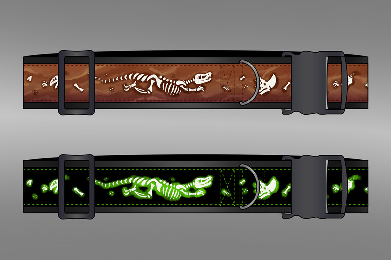 Deluxe Collar - FOSSIL DIG