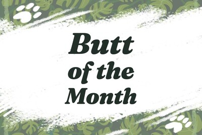 Butt of the Month