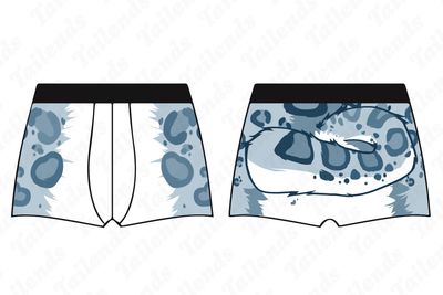 Boxer Briefs