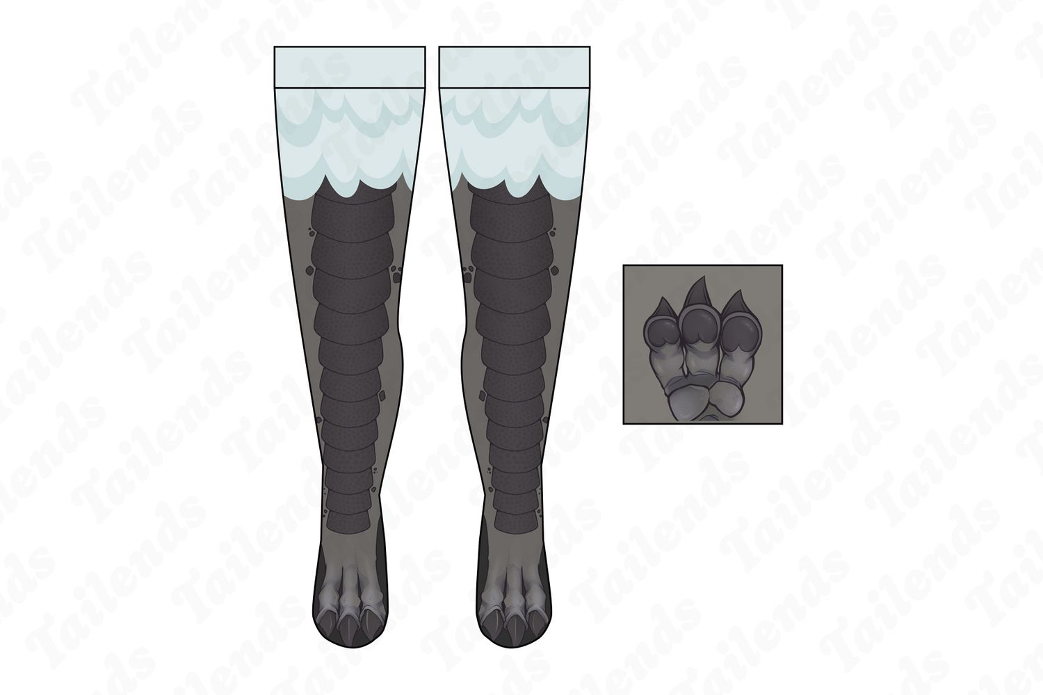 Bird Bard - Thigh High Socks