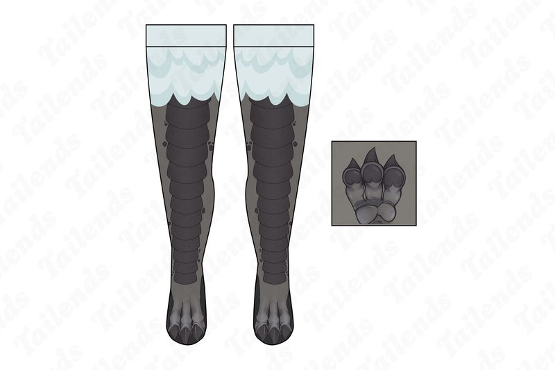 Bird Bard - Thigh High Socks