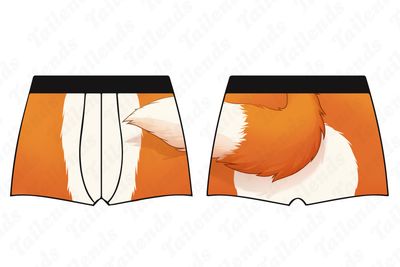 Boxer Briefs