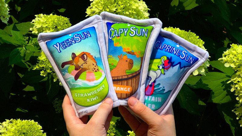 Capri Sun - Juice Pouch Prop