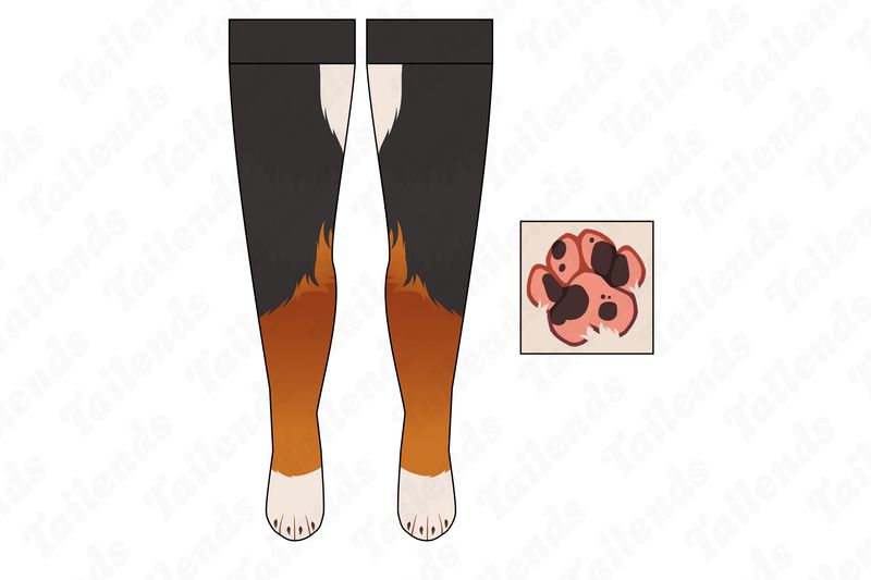 Bernese - Thigh High Socks