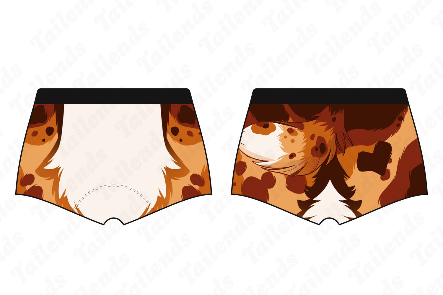 Australian Shep COPPER - Boyshort