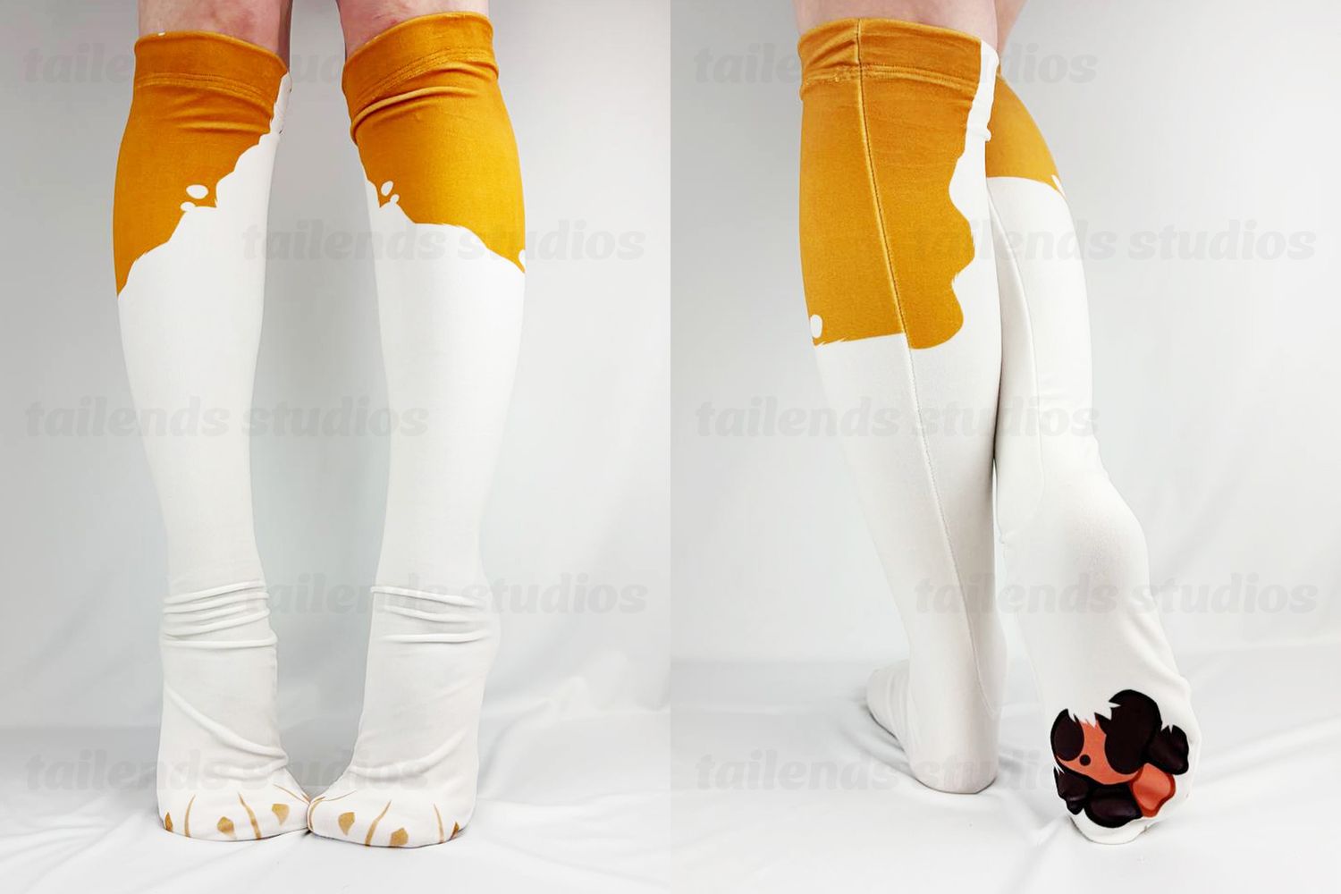 Beagle - Mochi Pawsocks