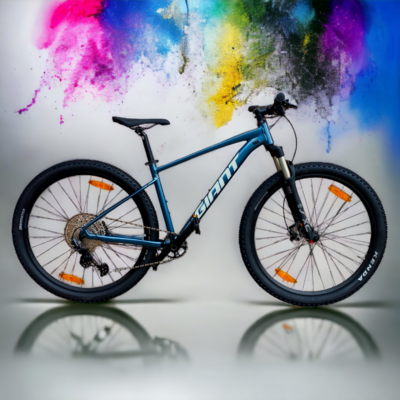Bicicletas 29
