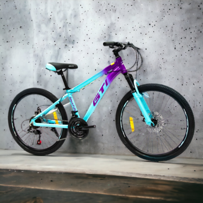 Bicicleta 24