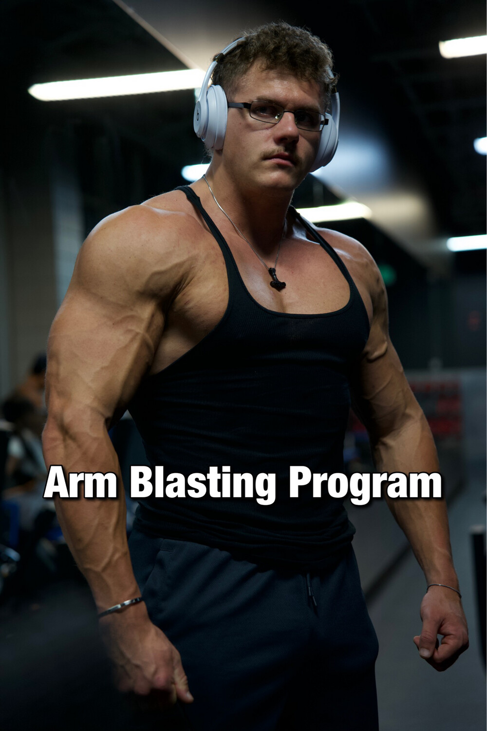 Arm Workout Program For Mass