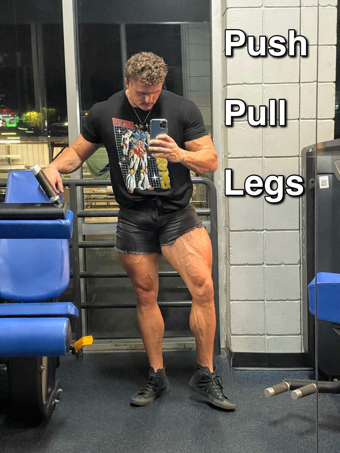 Push Pull Legs Program For Aesthetics &amp; Strength