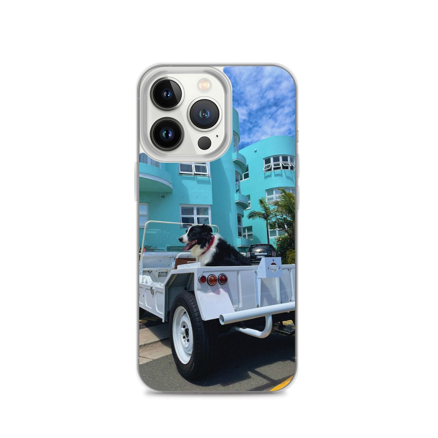 Bondi Boy Case