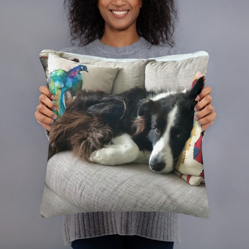 Plush Puppy Pillow