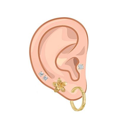 Ear