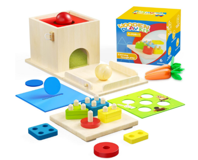 Sueseip 4 for 1 Montessori Toys for Babies 6-12 Months,Includes Object Permanence Box ,Wooden Baby Sorting Stacking Toys,Carrot Harvest Game,Coin Box,Ball Drop Sensory Learning Toys for 1-3 Year Old
