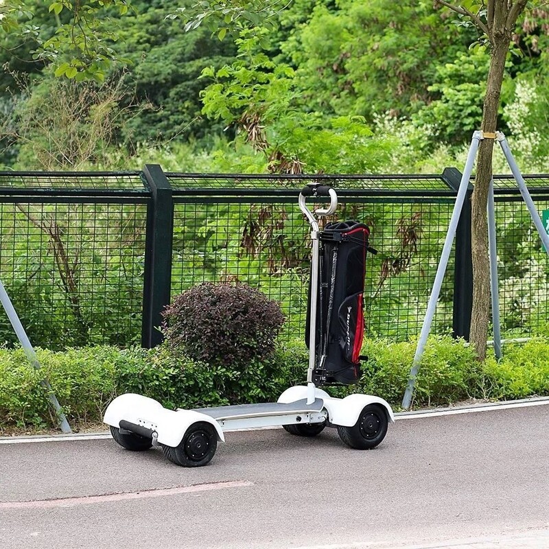 Ecorider cheap Electric Golf cart