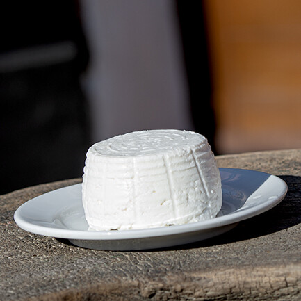 RICOTTA