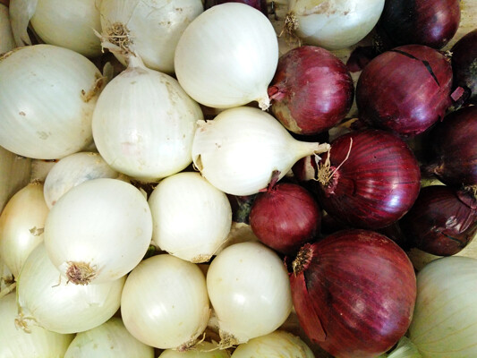 CIPOLLE - 0,5 kg