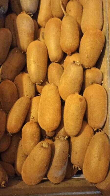 KIWI VERDE- 0,5 kg KIWI VERDE- 0,5 kg