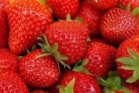 FRAGOLE FRAGOLE