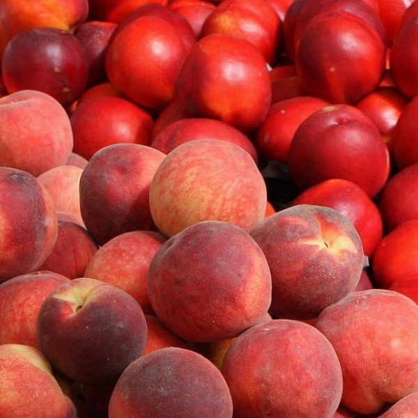 PESCHE - 0,5 kg