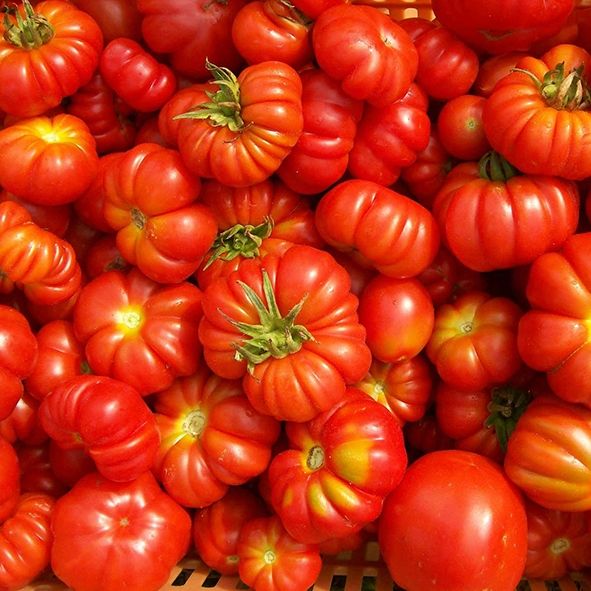 POMODORI MISTI INSALATA